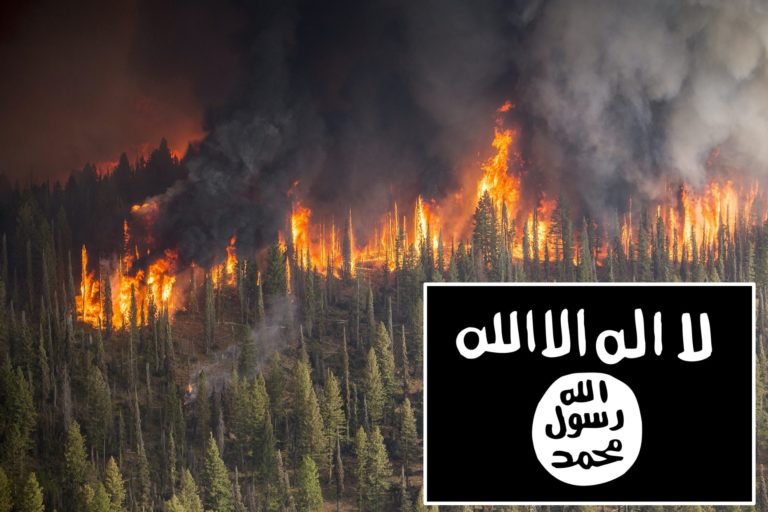 Islamister planerar skogsbränder i väst