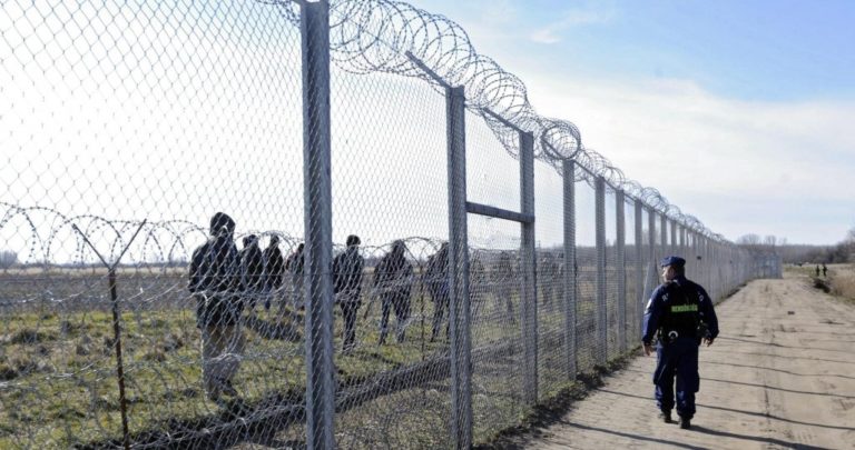 Migranter försökte storma gränsen till Ungern – flydde efter skottlossning