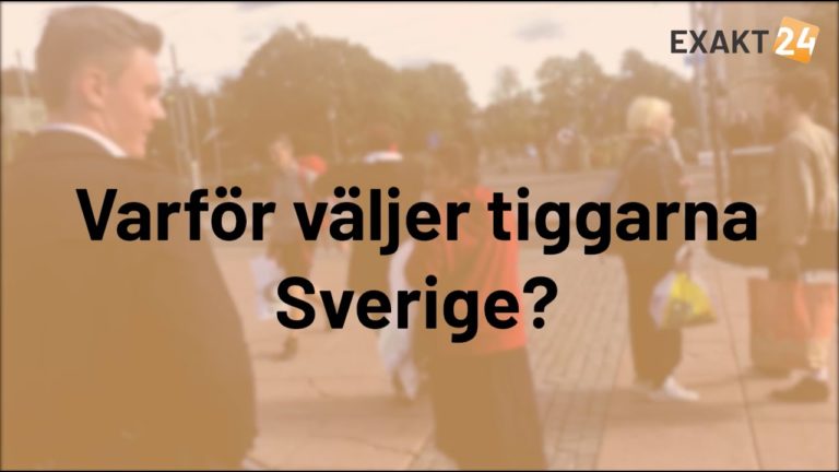 Varför väljer tiggarna Sverige? Hur kommer det sig att så få jobbar?