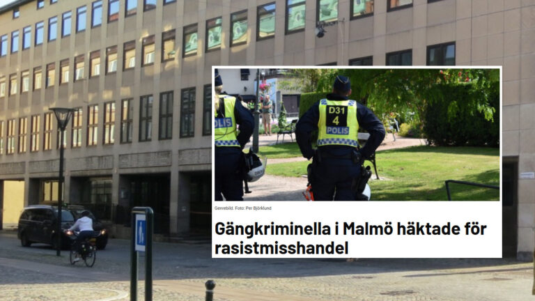 Diger brottsbana bakom de häktade för rasistiska överfallen i Malmö