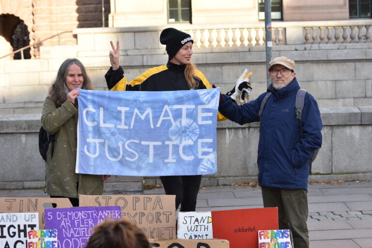 Analys: den folkliga klimataktivismen minskar men blir mer extrem medan den professionella aktivismen får mer resurser