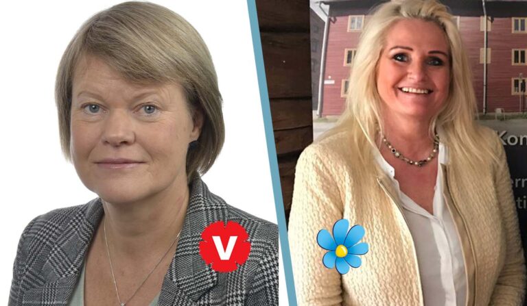 V-toppen Ulla Andersson om eventuell SD-politiker som ordförande i Brynäs IF: ”Rasism”