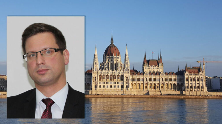 Ungerns krav: Sverige ska förklara sig innan Nato-omröstning